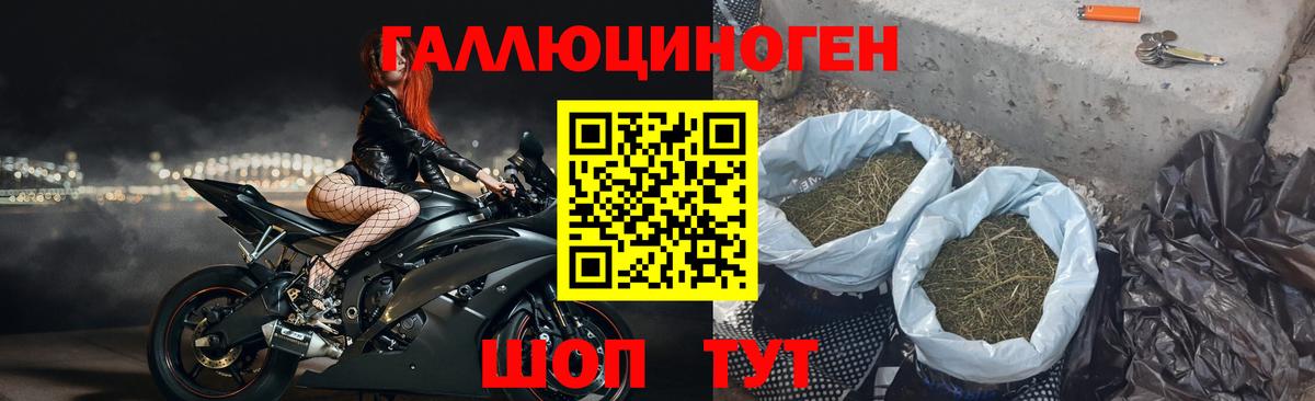Щёлково  Галлюциногенные грибы мухоморы  Вход с VPN 